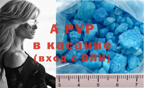 мяу мяу мука Абаза