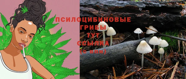 мяу мяу мука Абаза