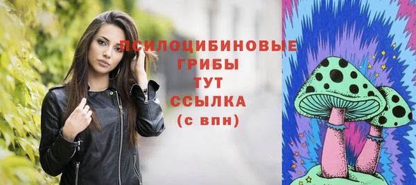 мяу мяу мука Абаза